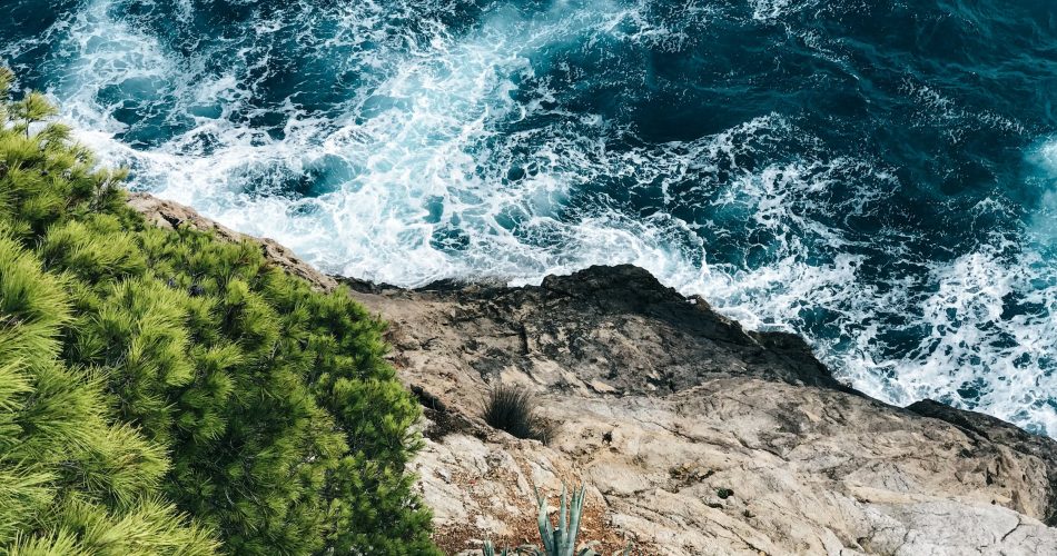 pexels-photo-1690379