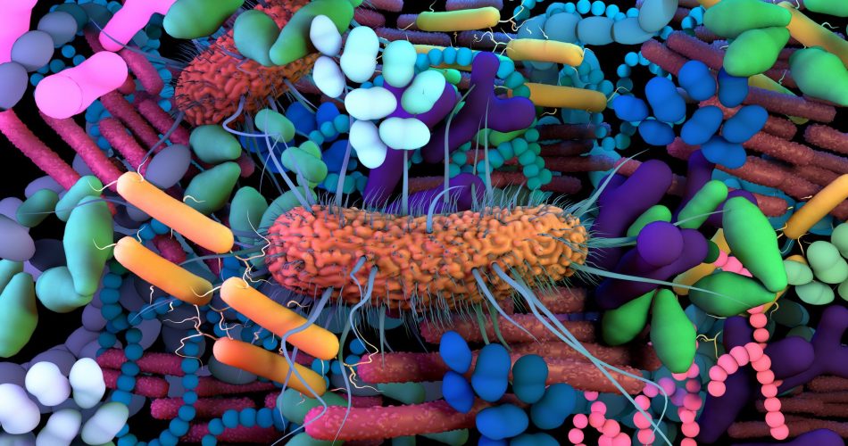 siberorgik hücrelerin geliştirilmesi