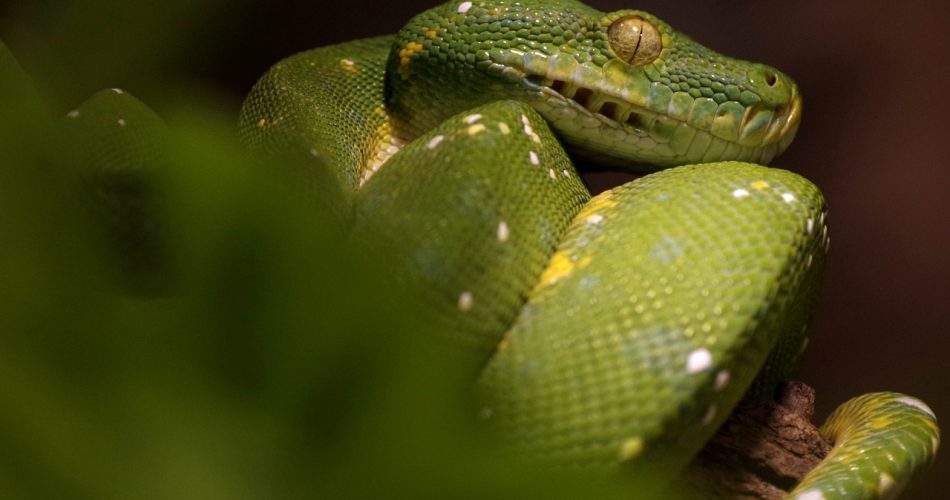 g145850ebd8dc1745374e5374bf5b2886e2af15f4848cab10b9e991c5617185dc8ccde4b91ad54f480736d9c9e5954cced1243d8e1f4dc48c4217666448081542_1280