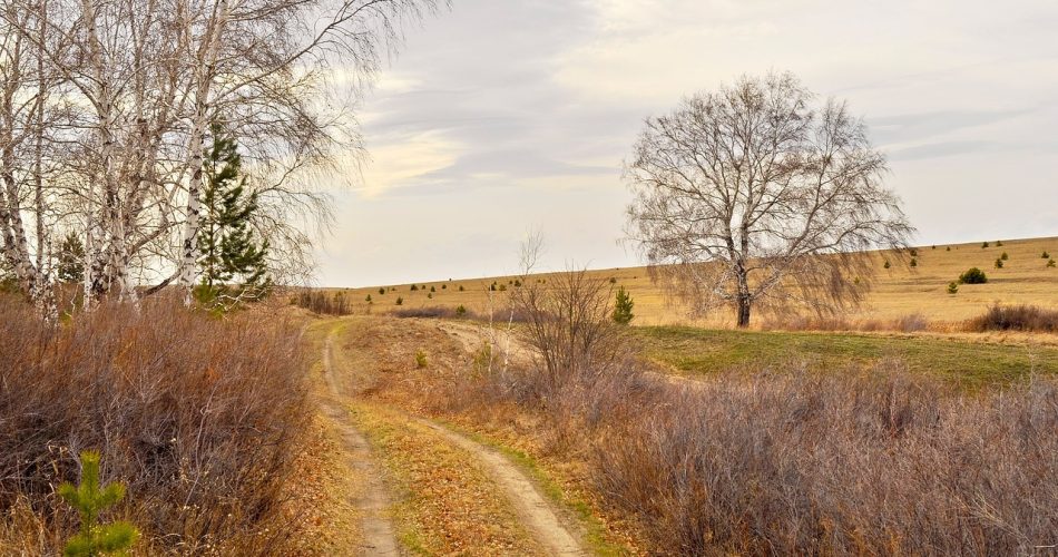 g179520105ac0f2db48dcfcf5a61f022a9f03c57ce9111657b5a3dcf6f742933748ae9290c7e5bc7cbba1063e9a9afd4f_1280