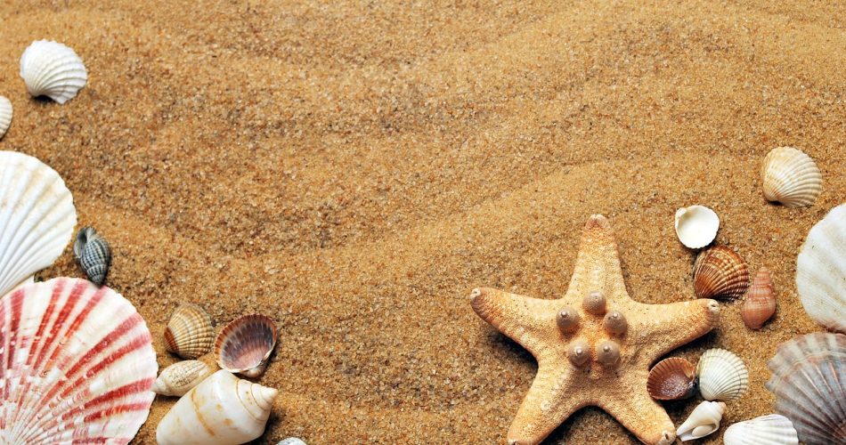 g336ddd5a8d3150bc3e71546308082e95501f2808571197465e0197625e9746083ce112e90de6ed1c3fdb205edb0b8cf7f2c94907773fbdc3ac2c0be95359effb_1280