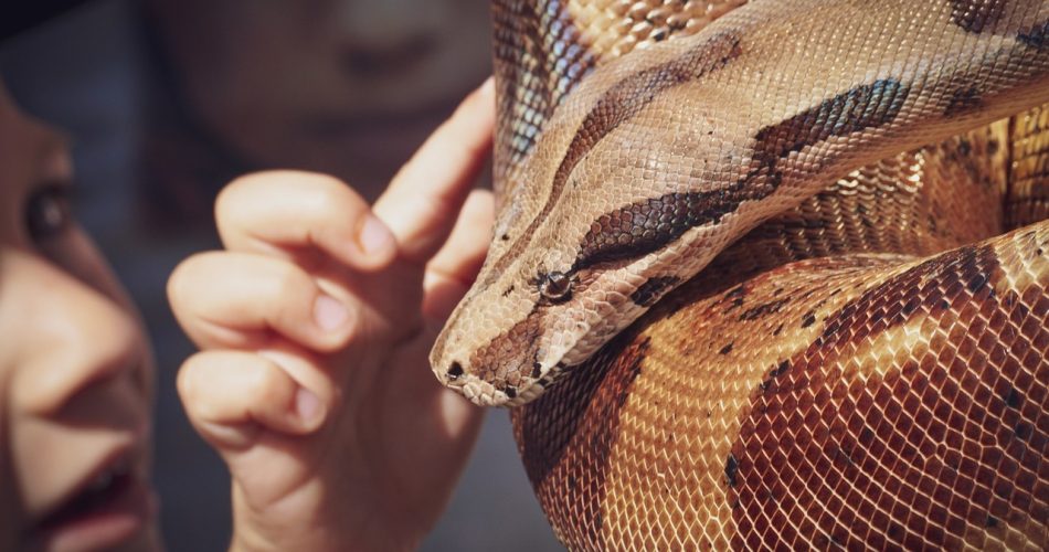 g84741a3ae15b7cf3a7dd0537bc96dcec0bc0e240dd6e5c3d1596fec77be7a35c8a875b146e3e2203a5a82a41dc10606bb55b3fbe7b9028e1cea151e299aaec03_1280