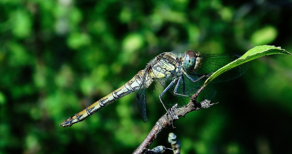 g7de6811c63ff80209c6a9dc4d369587cd5581319d64168fea747c60acf7d642a76a1815155a14b832f3243523ad78907680e082badb409dd6a81df5051905aeb_1280