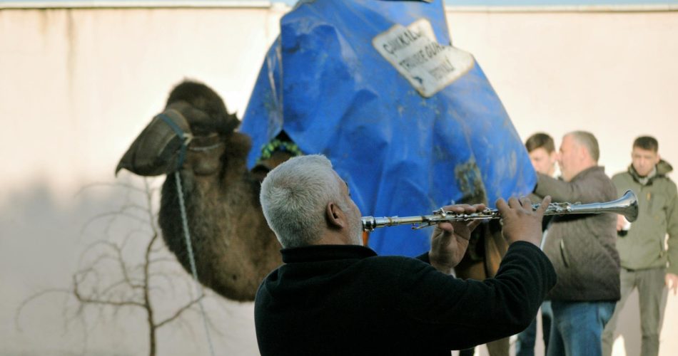 Suat Toktaş: Başarı Hikayesinin Arkasındaki Sır Ne?
